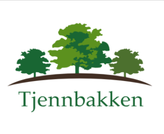 Tjennbakken i Gjerstad