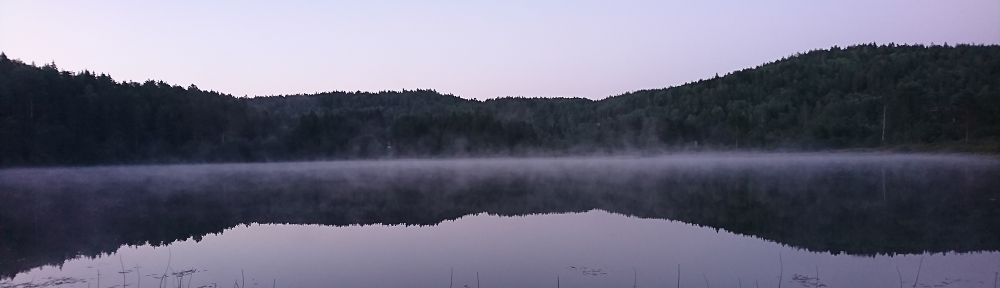 Tjennbakken i Gjerstad