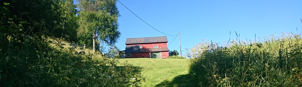 Tjennbakken i Gjerstad